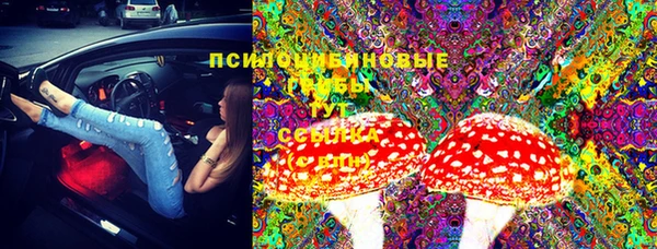 трава Армянск