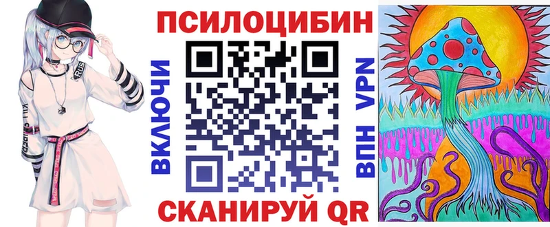 цены   Калтан  Галлюциногенные грибы Psilocybe 